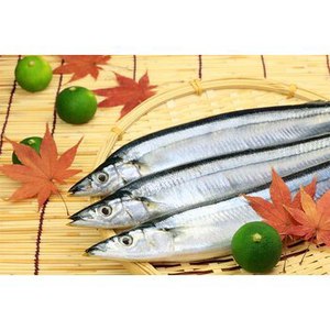 旬の食材～さんま～